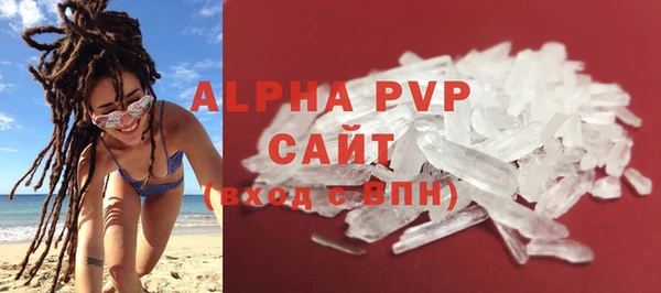 прущие грибы Белокуриха