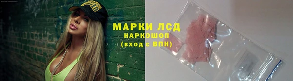 прущие грибы Белокуриха