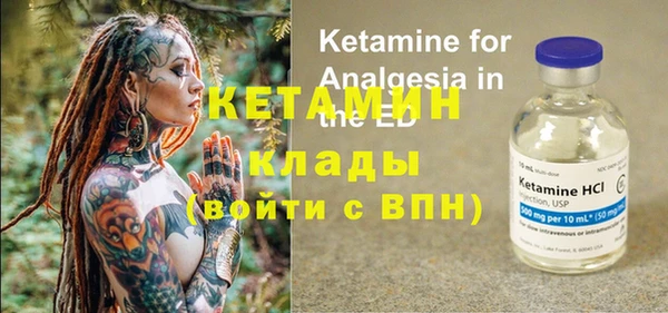 прущие грибы Белокуриха