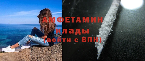 прущие грибы Белокуриха